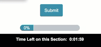Page Timer Survey Taking Example Page Timer Survey Taking Example
